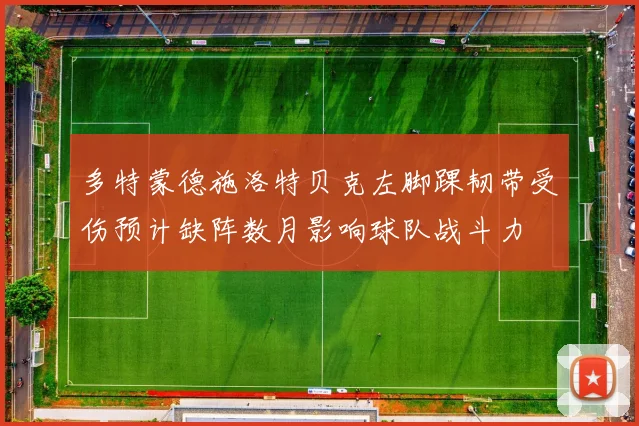 多特蒙德施洛特贝克左脚踝韧带受伤预计缺阵数月影响球队战斗力